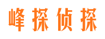 滨湖侦探公司